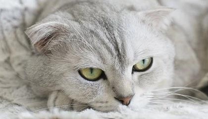 咸宁伴游，定制QQ：3494206190微信：act1322